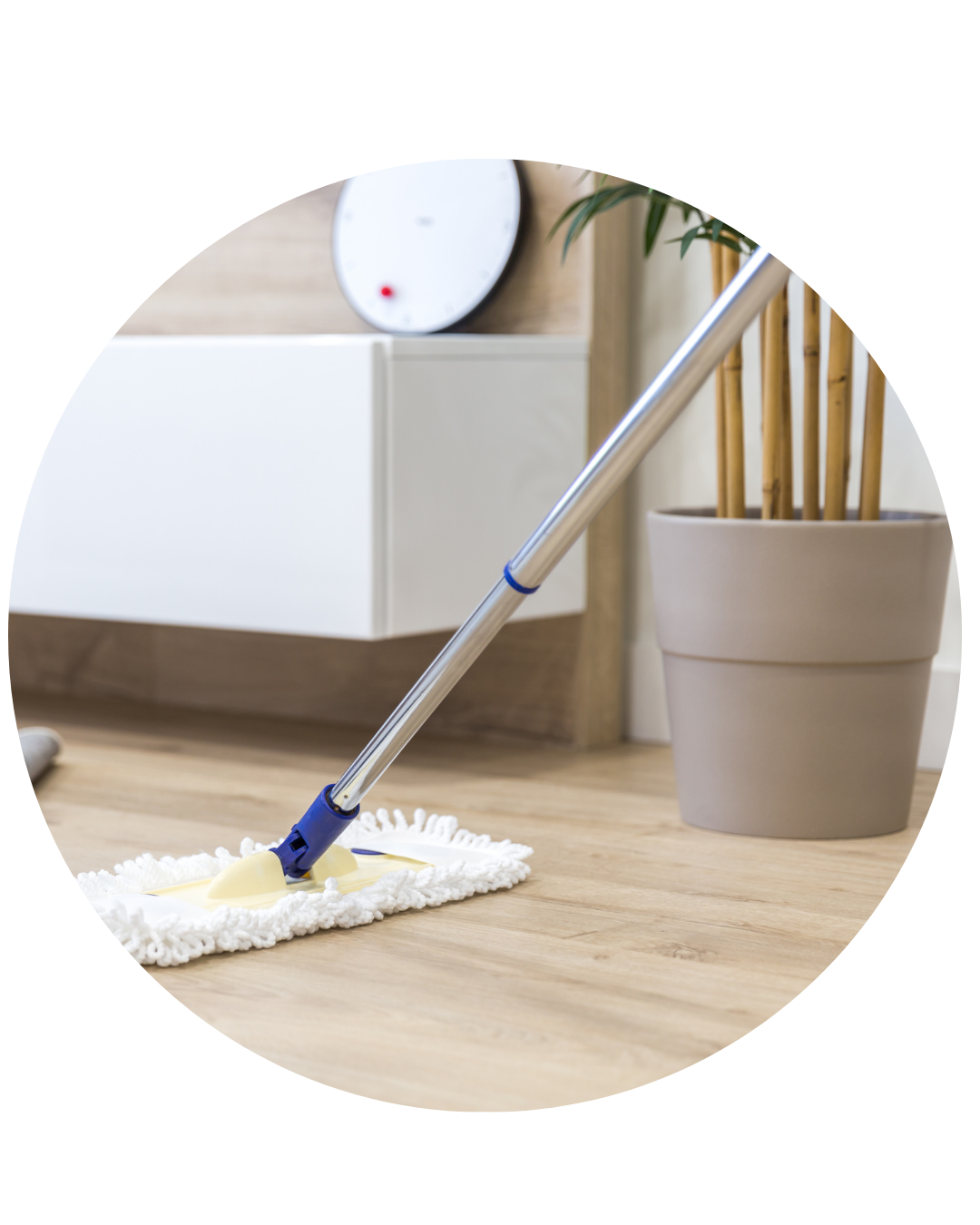 Recurring cleaning S Family Cleaning Services in MA