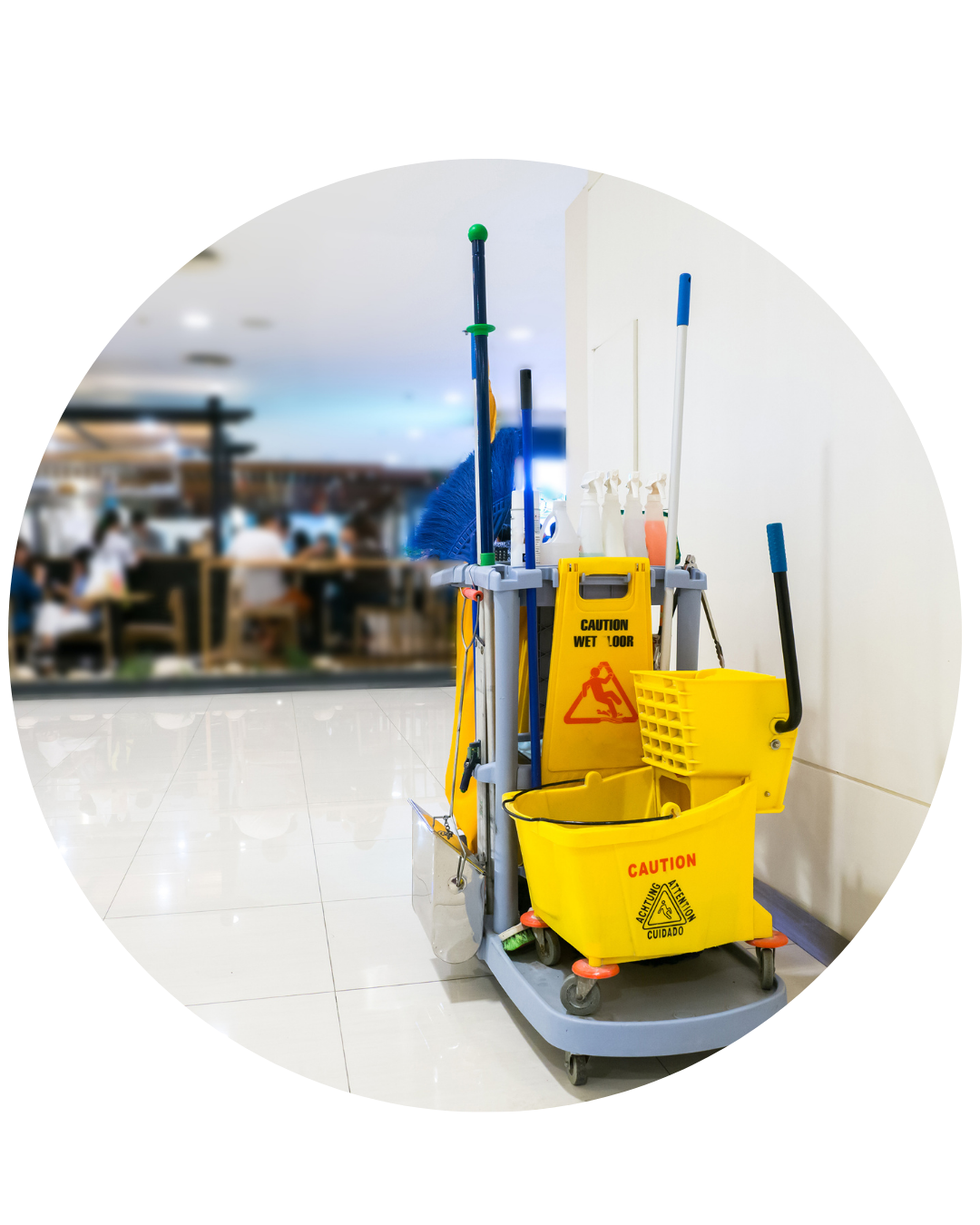 Commercial cleaning S Family Cleaning Services in MA
